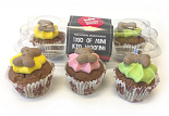 Barking Bakery Mini Iced Trios Bright Color