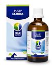 PUUR Echina 100 ml