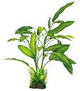 SuperFish Art Plant Cryptocoryne 40 cm