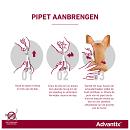 Advantix 100 6 pipetten