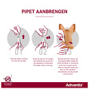 Advantix 100 4 pipetten