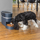 PetSafe Staywell Voederautomaat Smartfeed