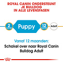 Royal Canin hondenvoer Bulldog Puppy 3 kg