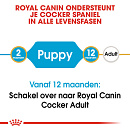 Royal Canin hondenvoer Cocker Puppy 3 kg