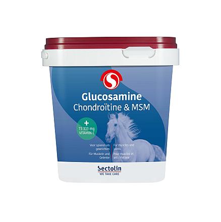 Equivital Glucosamine, Chondroïtine & MSM <br>1 kg