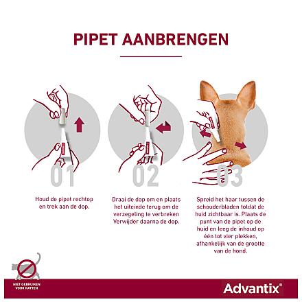 Advantix 100 6 pipetten