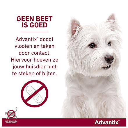 Advantix 400 4 pipetten