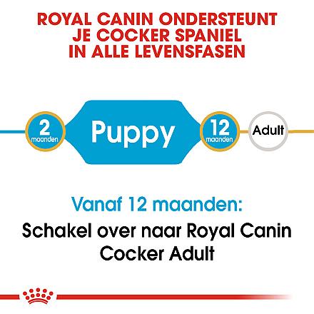 Royal Canin hondenvoer Cocker Puppy 3 kg