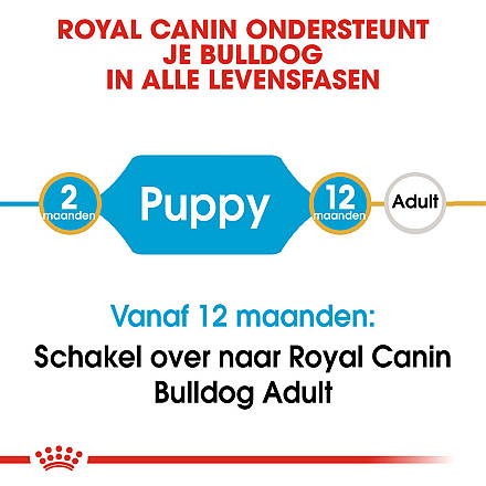 Royal Canin hondenvoer Bulldog Puppy 3 kg