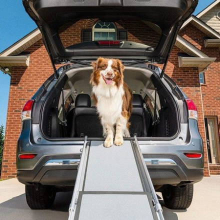 Happy Ride Telescoping Dog Ramp Deluxe