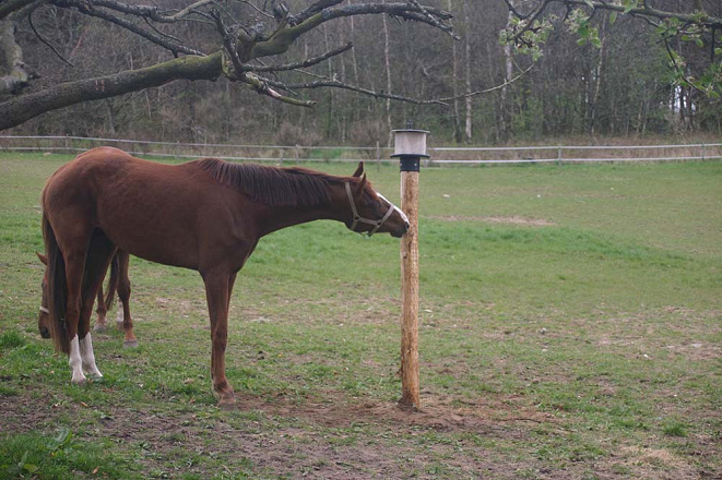 Liksteenhouder voor op Paal KS voor 10 kg